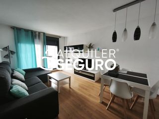 Lloguer Pis  Todo sobre mi madre. Piso c todo sobre mi madre zaragoza