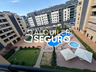 Pis a de Cirauqui