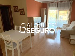 Alquiler Piso  Nuevo chapín iv fase. Piso cllj. nuevo chapín iv fase jerez de la frontera