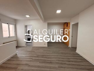 Flat in de Manzanares
