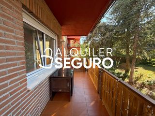 Rent Flat  Pozo nuevo. Piso c pozo nuevo  alpedrete