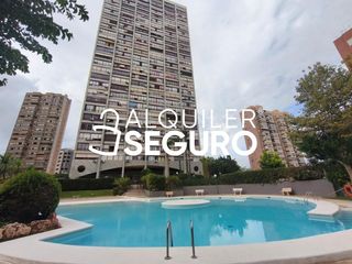Lloguer Pis  Andalucía. Piso av. andalucía benidorm