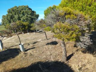 Masia a Brunete. Finca en venta en alrededores.