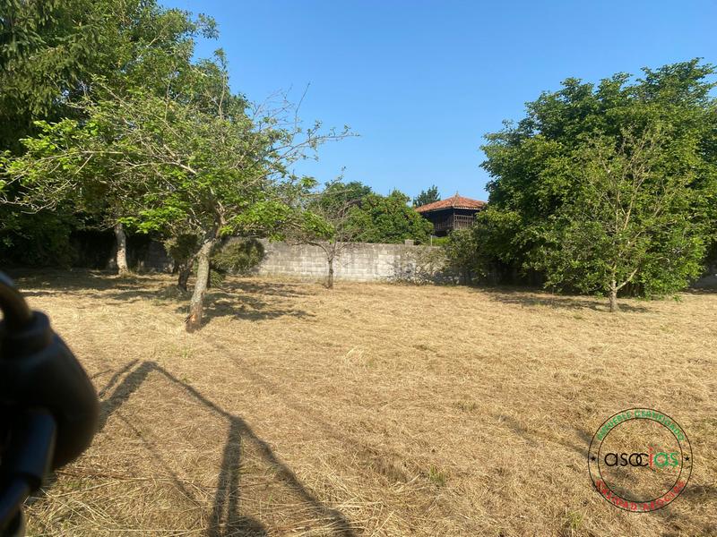 Foto 12c6c158-d2f4-45d0-b4e5-3b7e7c023ac5. Terreny residencial a Gijón - camino aroles - Vega a Gijón