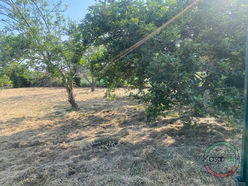 Foto 73a3d498-ab76-4d21-b964-af76234960bc. Terreny residencial a Gijón - camino aroles - Vega a Gijón