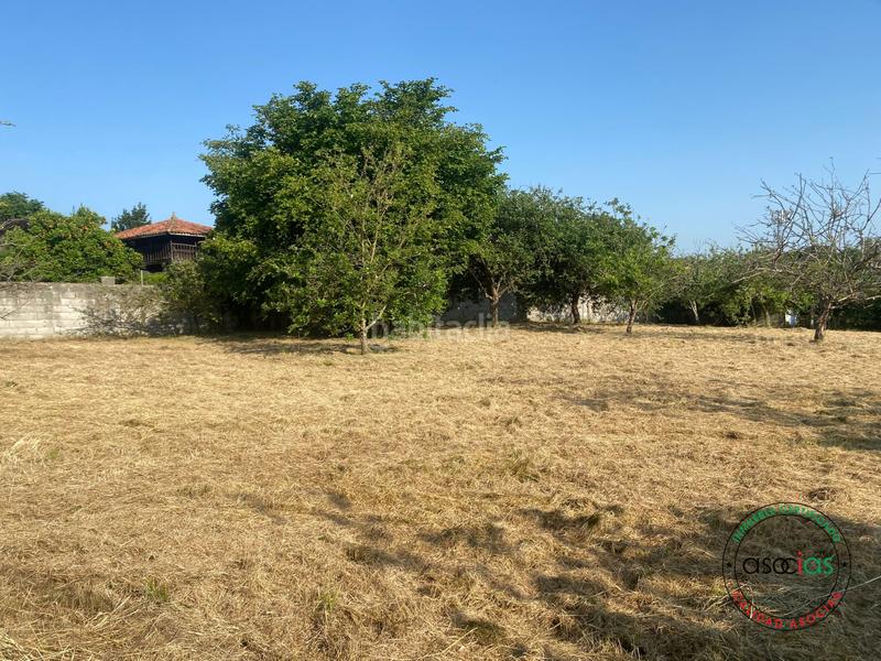 Foto 924b919e-88e4-4ab7-ba4e-548ee8e774ea. Terreny residencial a Gijón - camino aroles - Vega a Gijón