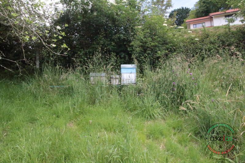 Foto 31a1df2c-01c8-4b77-b6c9-24c46c0cdc58. Maison dans llanín llanos dans Parroquias Norte Siero