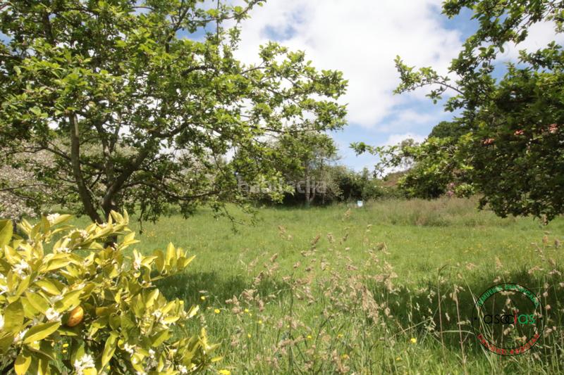 Foto 4b62d5cf-fde3-42a2-b1ac-98fbf4b6c52d. Maison dans llanín llanos dans Parroquias Norte Siero