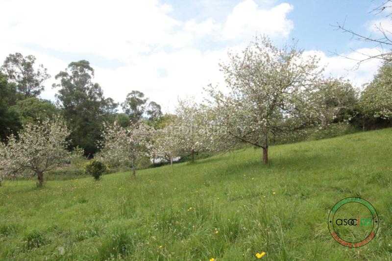 Foto 4d9880e8-668a-4e87-96a8-2aaf88a4dbae. Maison dans llanín llanos dans Parroquias Norte Siero