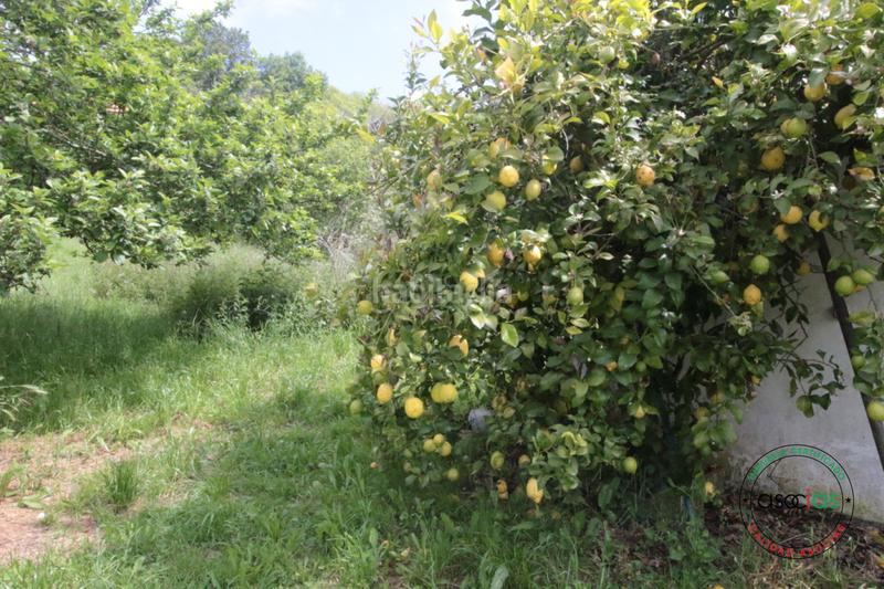Foto 59a78b6e-a8b8-4c17-bb6e-ac6a8fd65894. Maison dans llanín llanos dans Parroquias Norte Siero