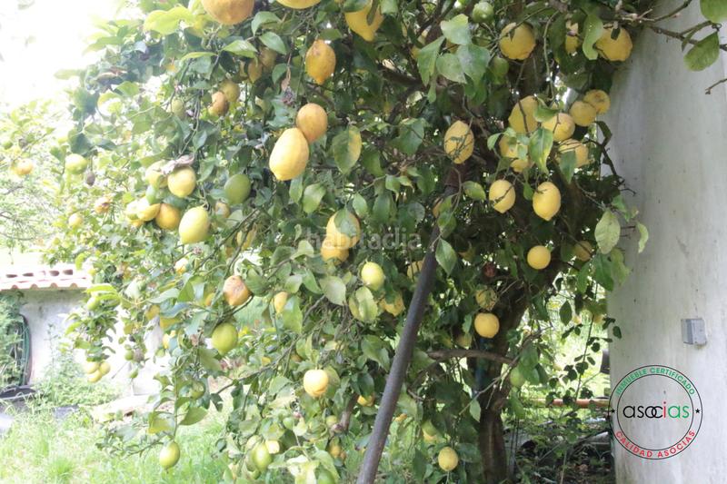 Foto 613fe2a7-4169-46f1-9ce7-6c3365690c65. Maison dans llanín llanos dans Parroquias Norte Siero