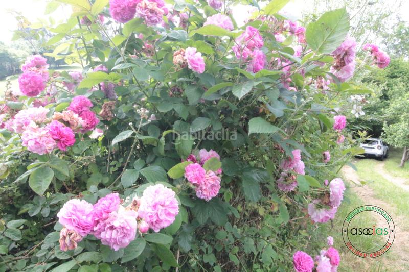 Foto 835e64ec-29c1-4ebf-879b-a2bf5e3c4f62. Maison dans llanín llanos dans Parroquias Norte Siero