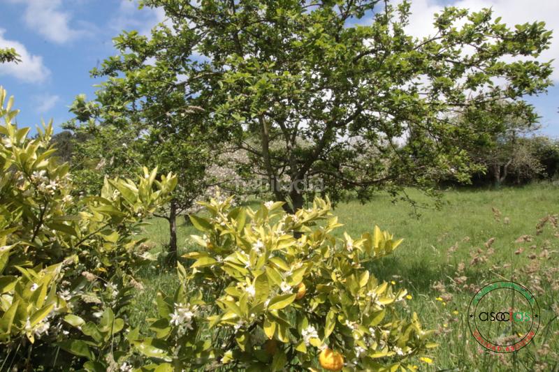 Foto 941c871d-b36a-4e8b-856a-81319af16488. Maison dans llanín llanos dans Parroquias Norte Siero