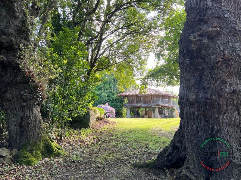 Foto 18833843-0f64-4427-925e-c195ed2b63d4. Casa amb calefacció a Cabueñes Gijón