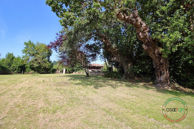 Foto 2276d20b-00c1-4a6f-a499-23a69f778202. Casa amb calefacció a Cabueñes Gijón