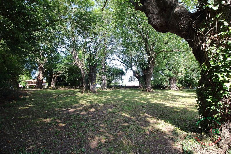 Foto 76d2c40f-60f5-412a-91c8-8c62ae847e81. Casa amb calefacció a Cabueñes Gijón