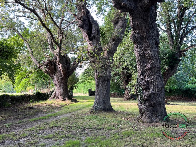 Foto a3c601ee-ed0a-4e92-8093-d1df5a48e382. Casa amb calefacció a Cabueñes Gijón