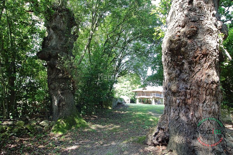 Foto e5b8c10e-4be2-4184-83c3-ea7ecc147717. Casa amb calefacció a Cabueñes Gijón