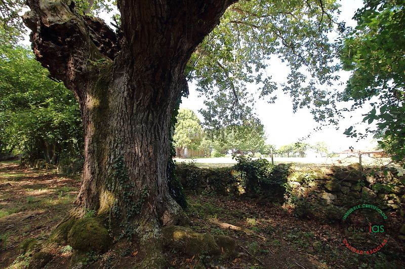 Foto ec3e8064-0388-42f1-b4c5-e3c6e09a4afd. Casa amb calefacció a Cabueñes Gijón