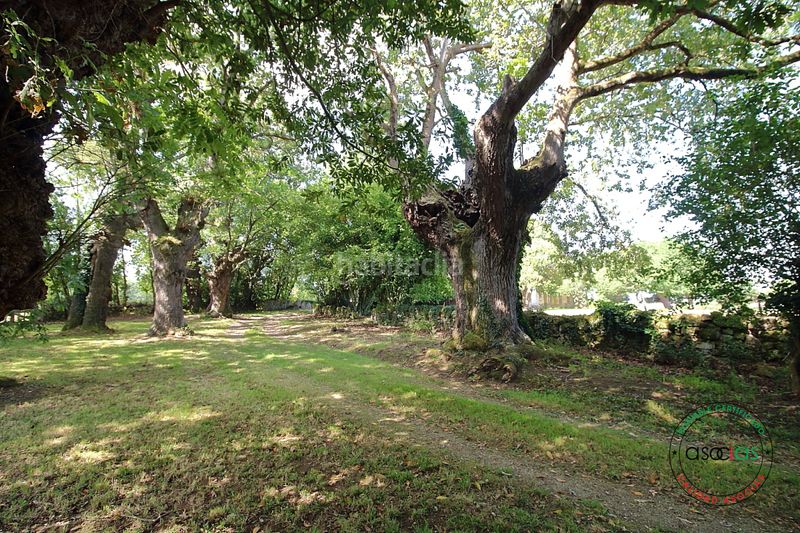 Foto ed727a1c-9974-4f95-90e3-6eaa2cc7e9e3. Casa amb calefacció a Cabueñes Gijón