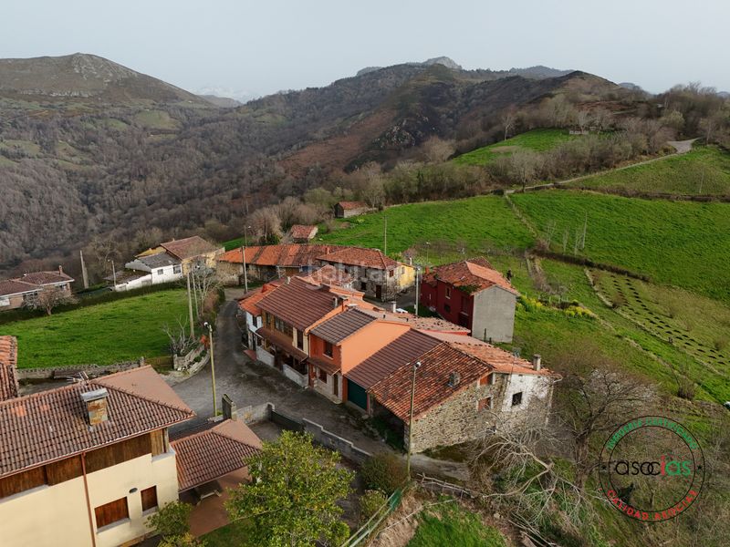 Foto c07d8ee3-8254-48b1-a3a1-a9c66bc98214. Casa amb calefacció a Parres