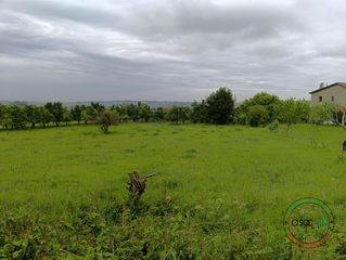 Terreno residencial en castiello - Camin de la Nisal 805