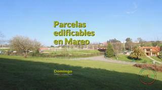 Terreno residencial en Gijón - camino de la marruca 791. Finca edificable de 1504 metros enfrente de la escuela deportiva
