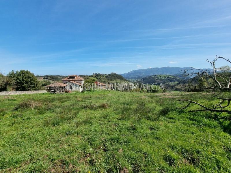 Foto 7264b798-9a89-4f6b-b60b-505e9d387078. Casa a aldea castiello abajo 33a a Colunga