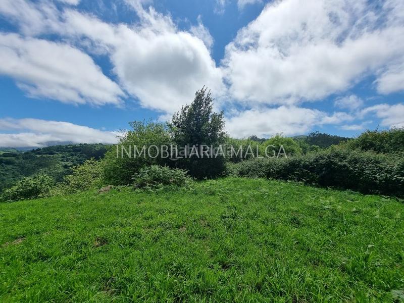 Foto 17847c4c-5855-4688-946c-66161065d596. Haus in caserio pueblo abajo 29 in Colunga