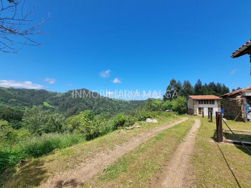 Foto 753ef4c6-df6f-4917-8a27-b016cf96684e. Haus in caserio pueblo abajo 29 in Colunga