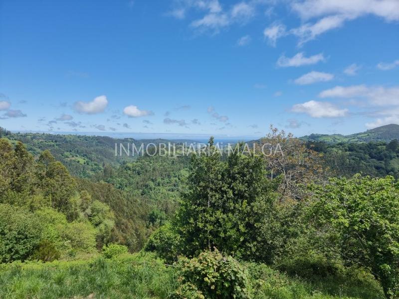 Foto 9f8ddb2e-a3d4-4785-8953-b75eb1d806b0. Haus in caserio pueblo abajo 29 in Colunga