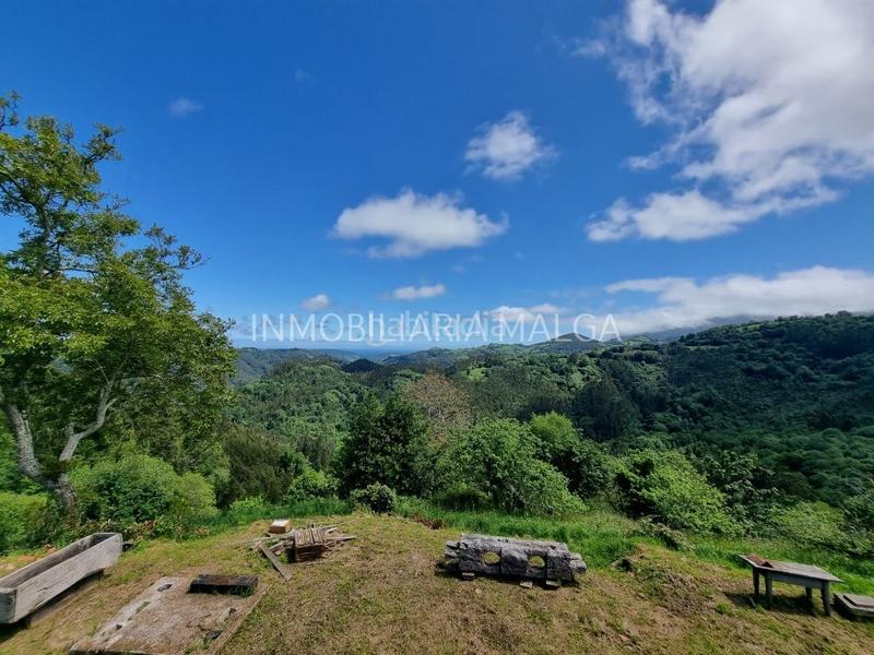 Foto b58e4009-c71c-424f-9077-8f3ca0559177. Haus in caserio pueblo abajo 29 in Colunga