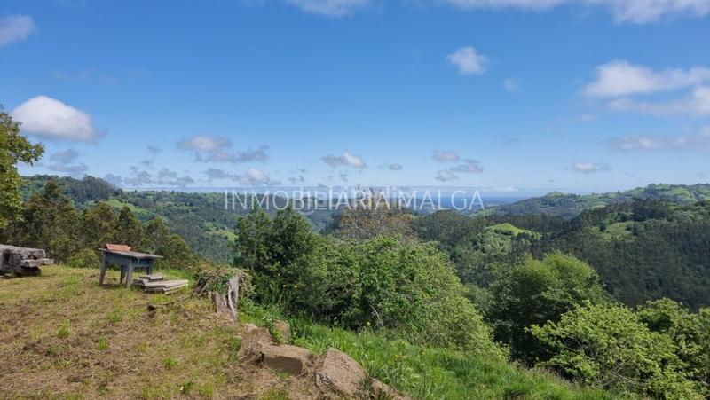 Foto bbeba1db-3e1c-4619-8c70-df19664cedf6. Haus in caserio pueblo abajo 29 in Colunga