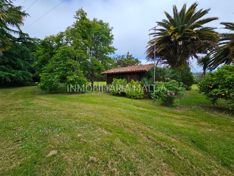 Foto 3636a2a6-3b6e-4c37-9988-75546edea930. Maison dans lugar la calle 5 dans Selorio - Tornón Villaviciosa