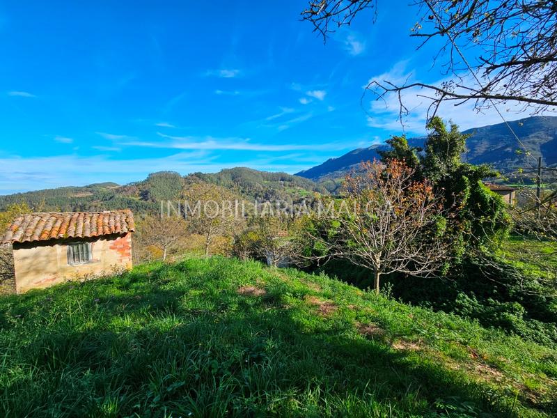 Foto 6a2f7b62-bf38-4801-a829-3295a87406d1. Casa a barrio d'arriba 6 a Colunga