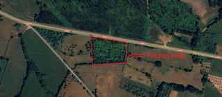 Finca rústica en N-632 285. Se vende finca rústica (no edificable) en sales, colunga.