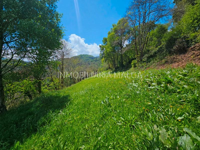 Foto c1908657-ca02-4e18-8f64-86c840489214. House in aldea los toyos 230a in Colunga