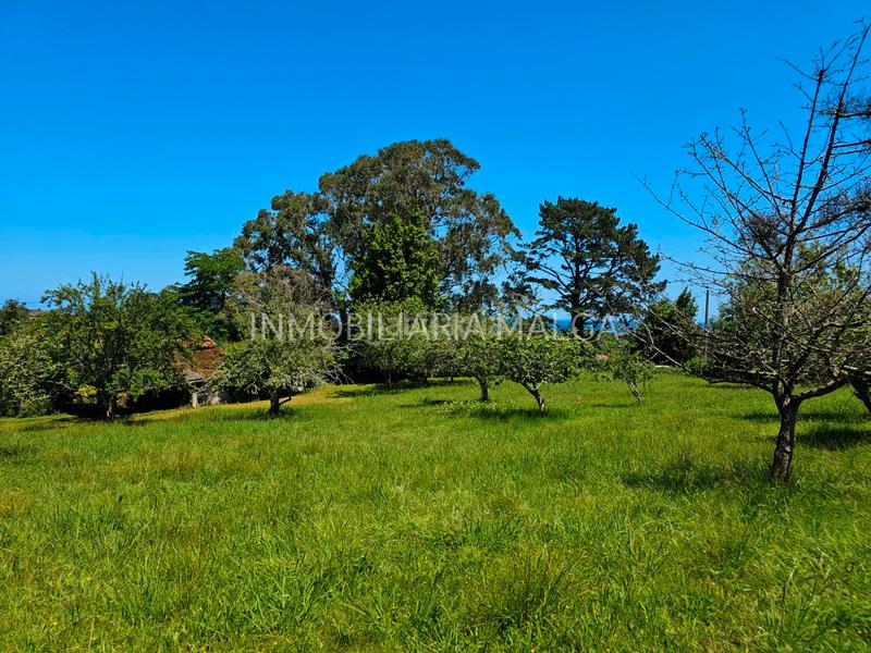 Foto 3a96d62b-1be7-4d67-868f-429767b8df28. House in caserio bueño 2a in Colunga