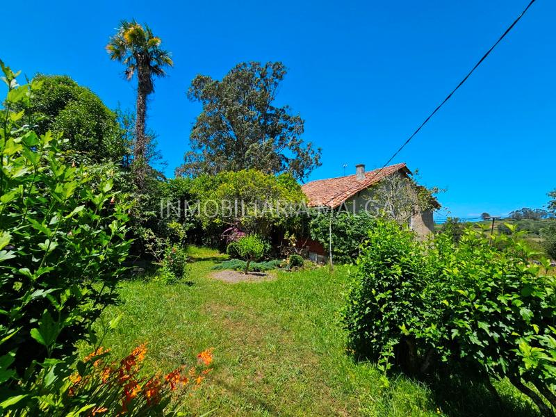 Foto 3f3a589c-aefd-4081-8872-e36b0be09155. House in caserio bueño 2a in Colunga