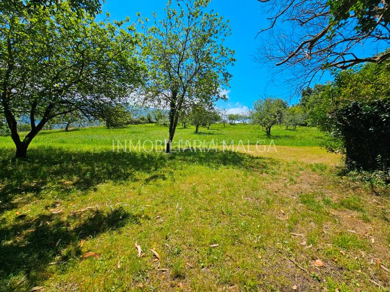 Foto 76416261-5ebc-4101-bb24-39e258e12857. House in caserio bueño 2a in Colunga