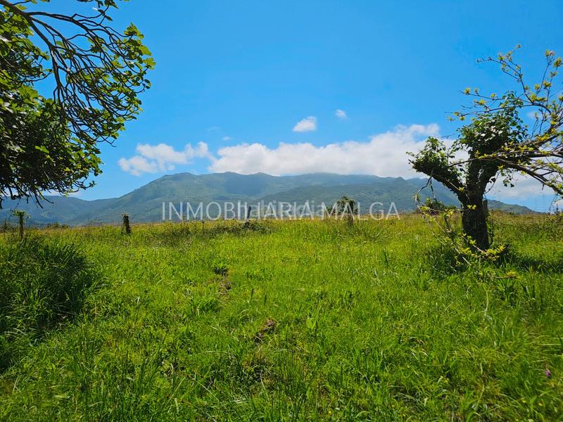 Foto 9692bcf0-c2e1-43db-bc17-942b7569c17a. House in caserio bueño 2a in Colunga