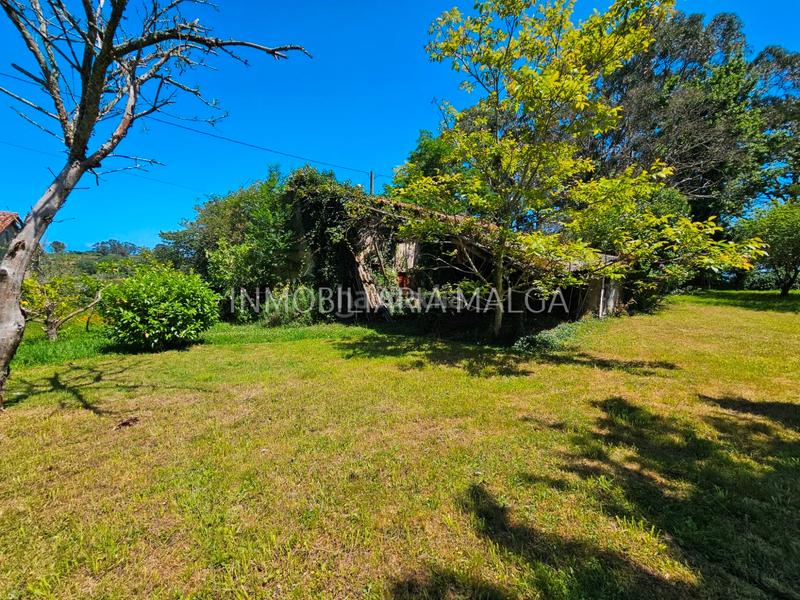 Foto b02a8049-f981-4185-94ff-34444c04e534. House in caserio bueño 2a in Colunga