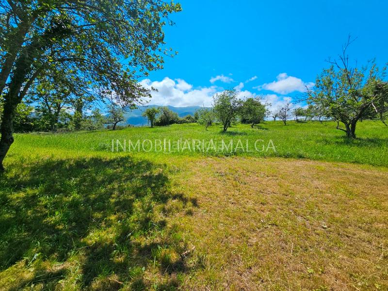 Foto e79049b9-35ca-4caf-9257-0cb08cbdd9d2. House in caserio bueño 2a in Colunga