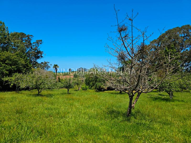 Foto f0c6fa63-125d-4988-9a86-5426b7b2d7af. House in caserio bueño 2a in Colunga