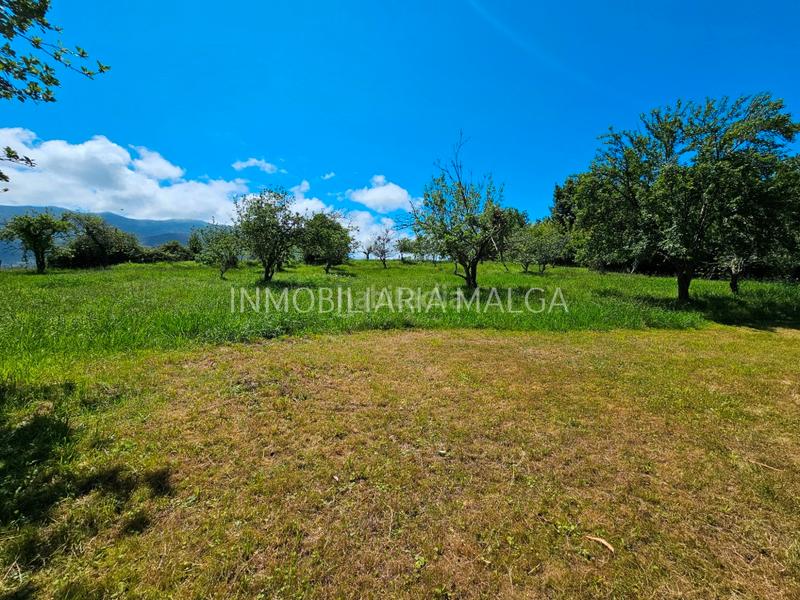 Foto f97d9347-046c-4ced-9b34-bd5106d67577. House in caserio bueño 2a in Colunga