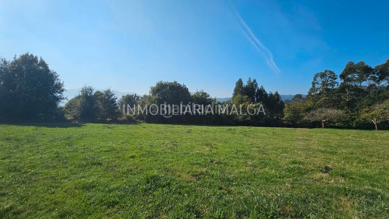 Foto 5d1af404-6456-4ddb-abd7-a05f5b472f69. Wohngrundstück in caserio san antonio 13 in Colunga