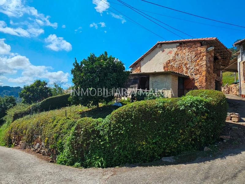 Foto 2b4face0-3157-4fdd-b86a-6afaa7f8185e. Haus in calle sales 208a in Colunga