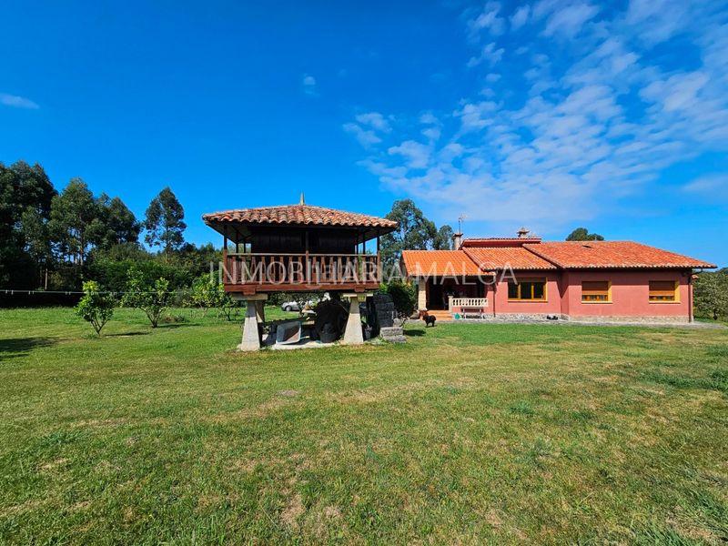 Foto 7b0f99d9-c478-41b4-90a7-42f34a88c5ba. Casa con camino riscaldamento in Colunga