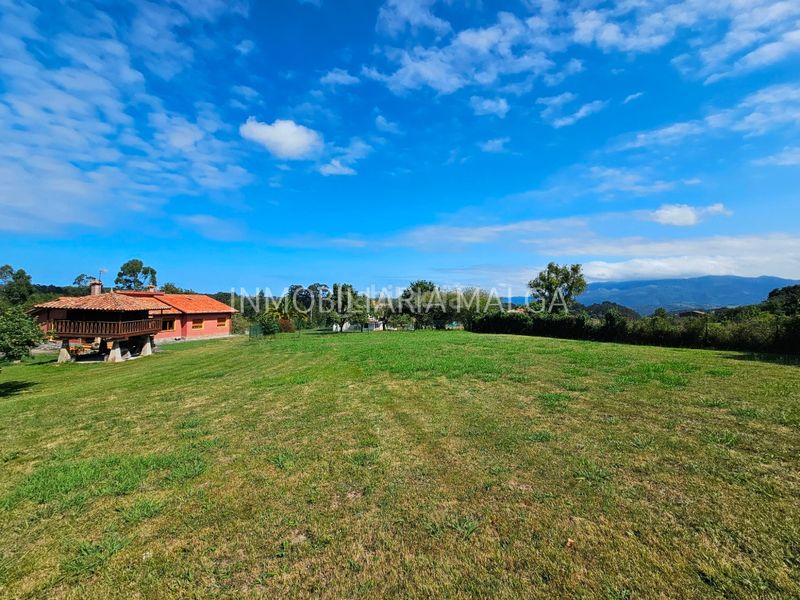 Foto 34fcf9cf-a73c-4c31-9f94-733cca0ea8c1. Maison dans barrio castiellu 1 dans Colunga