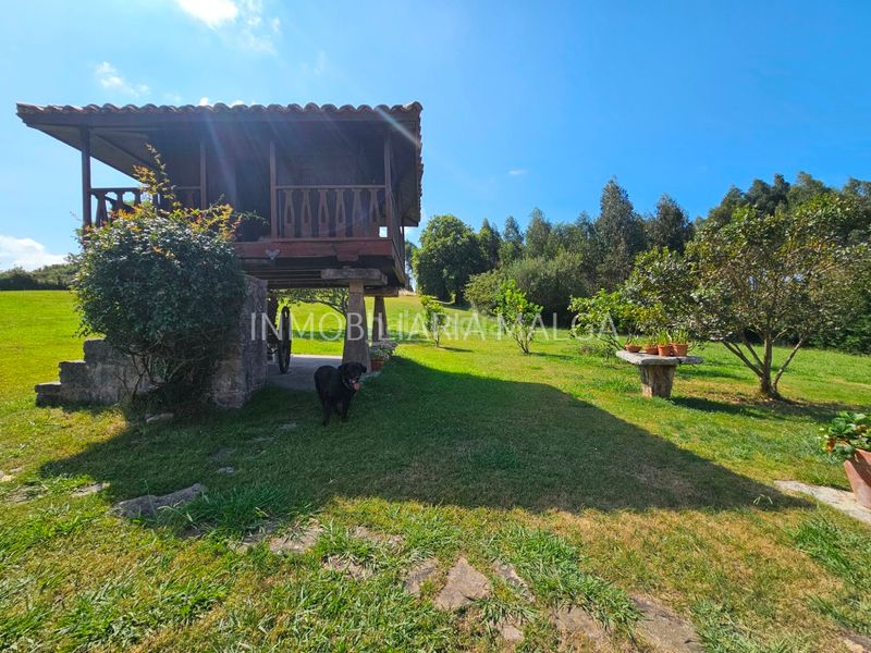 Foto a310f7ac-0583-42e6-89ee-f71468ae513e. Maison dans barrio castiellu 1 dans Colunga